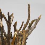 Garden Lights - Image 5