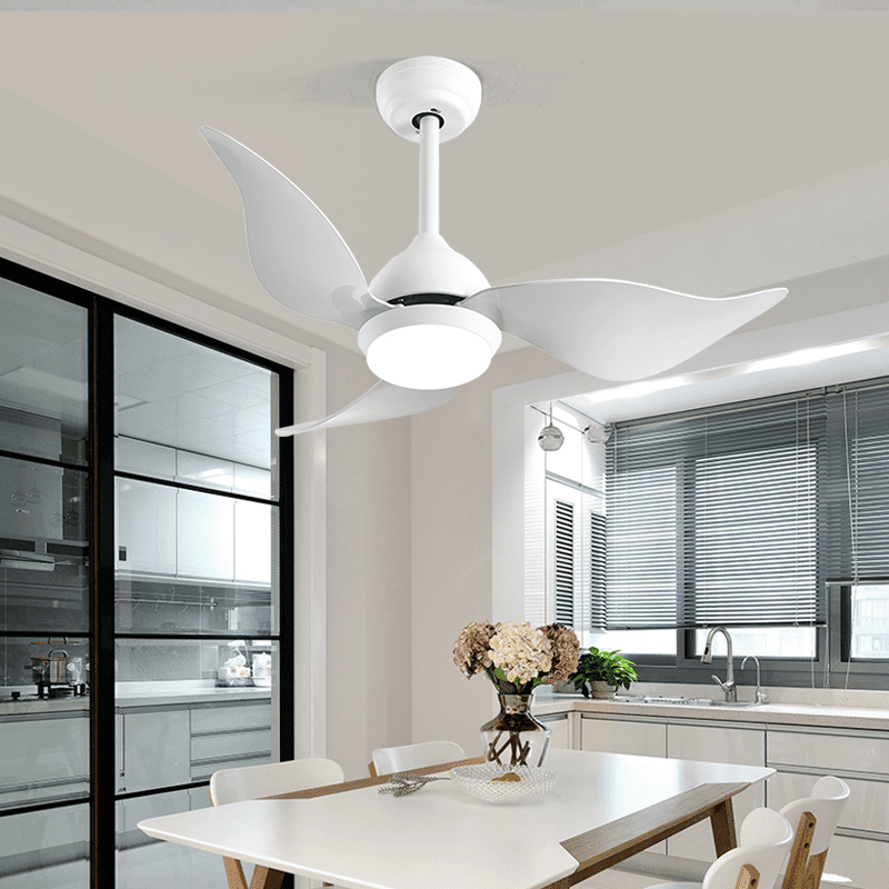 Ceiling Fan with Light